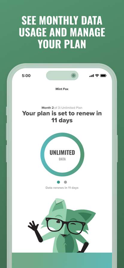 Mint Mobile