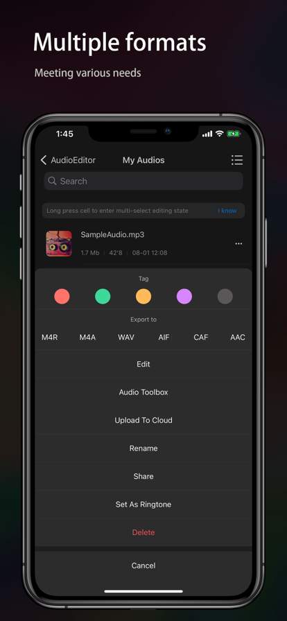 Audio Editor - Music editor