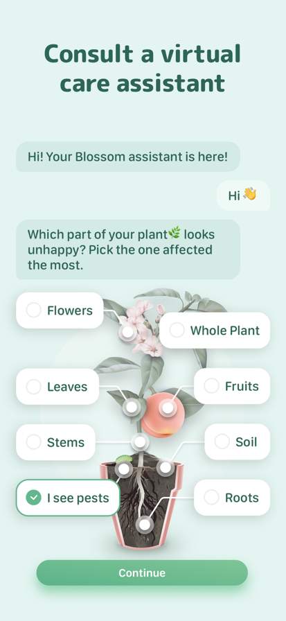 Blossom - Plant Care Guide