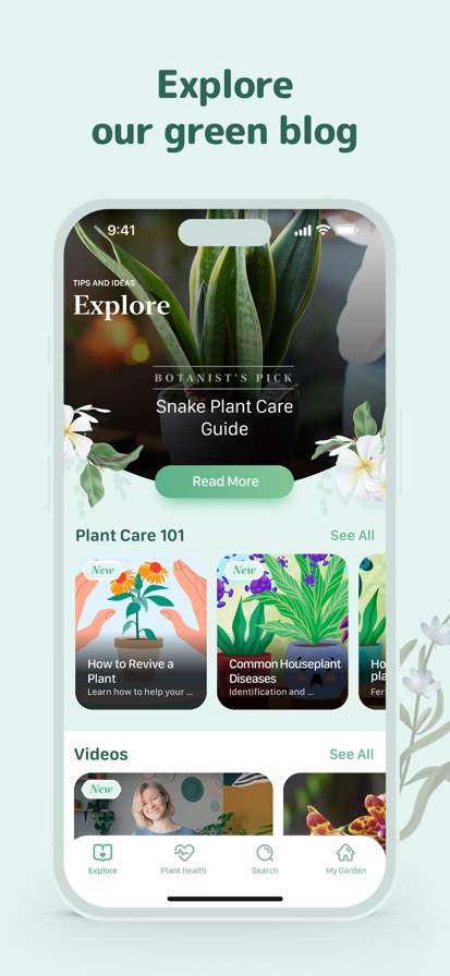 Blossom - Plant Care Guide
