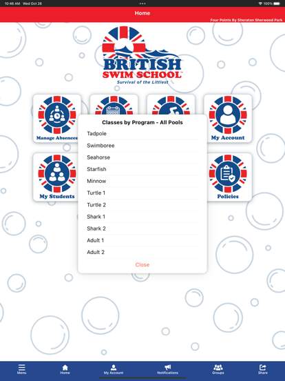 British Swim School