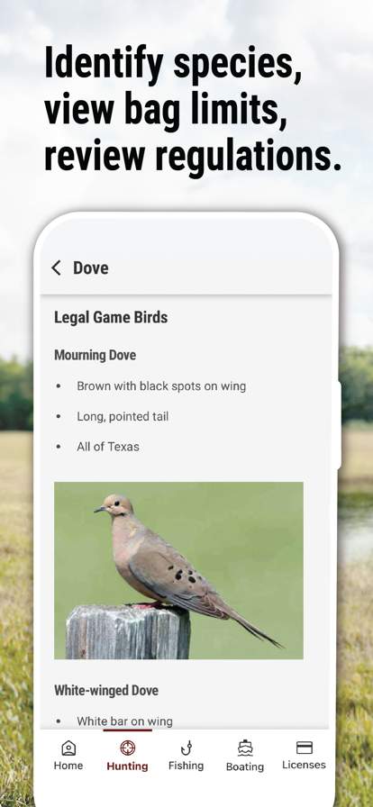 Texas Outdoor Annual