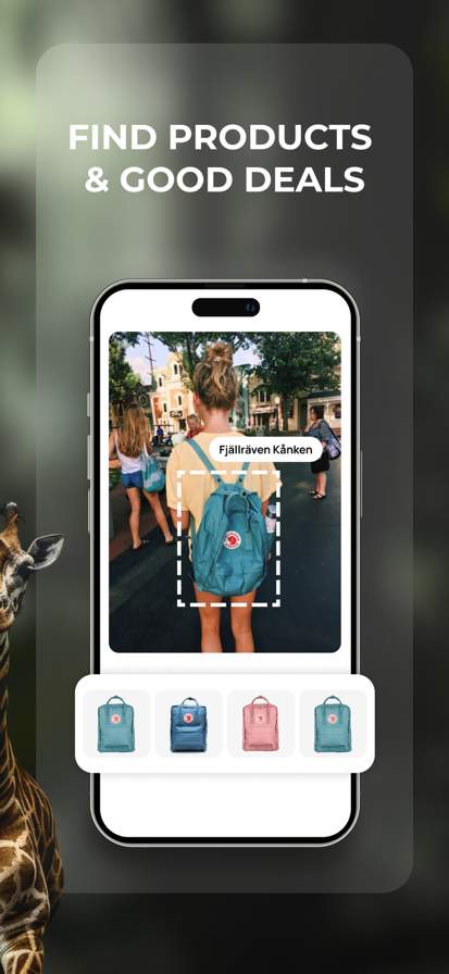 Lens: Translate & Image Search