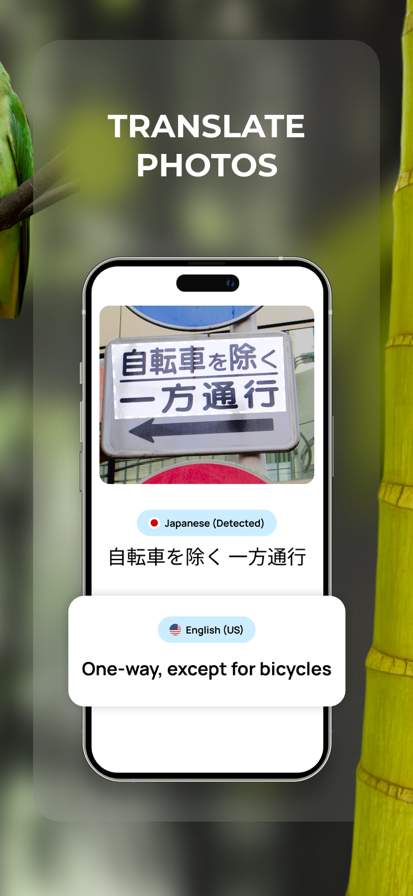 Lens: Translate & Image Search