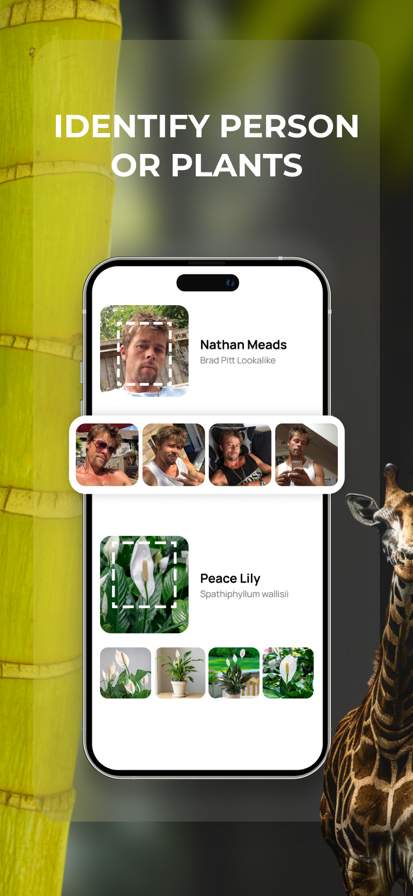 Lens: Translate & Image Search