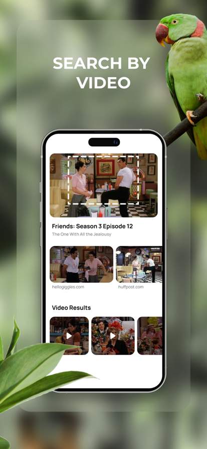 Lens: Translate & Image Search