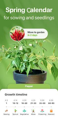 GrowIt: Vegetable Garden Care