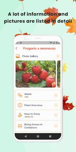 Plant App - Identifier & Care