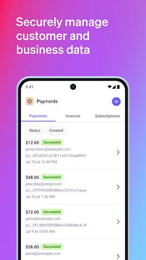 Stripe Dashboard