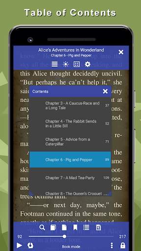 EPUB Reader for all books