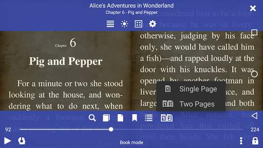 EPUB Reader for all books