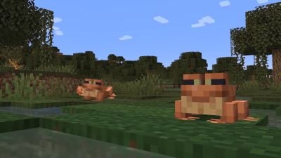 Minecraft